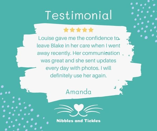 5* Google Review for Nibbles and Tickles Cat Sitting Services in Sonning Common