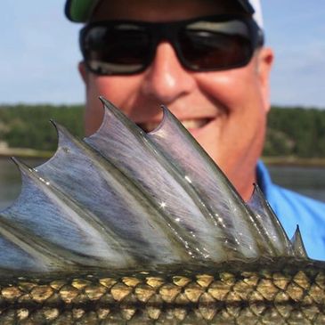 Gillies & Gallon Guide Service, LLC, Phippsburg, Maine, close up of man holding up Striped Bass fish