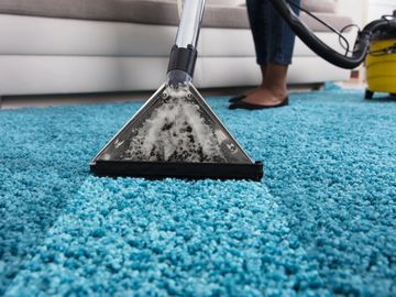 A residential cleaner extracting a blue carpet.