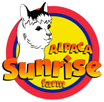 New Sunrise Site