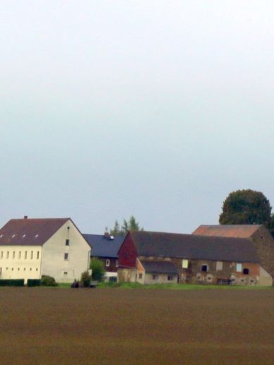 A beautiful house with trees and plain land
