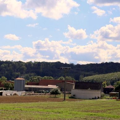 a field with trees and a sky filled with clouds