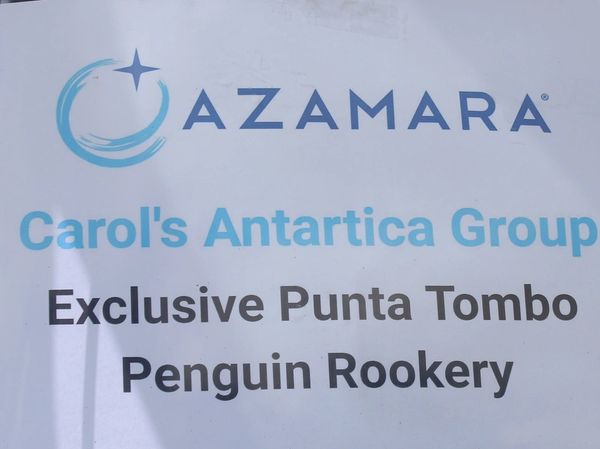 a sign in front of a building that says carol's antarica group