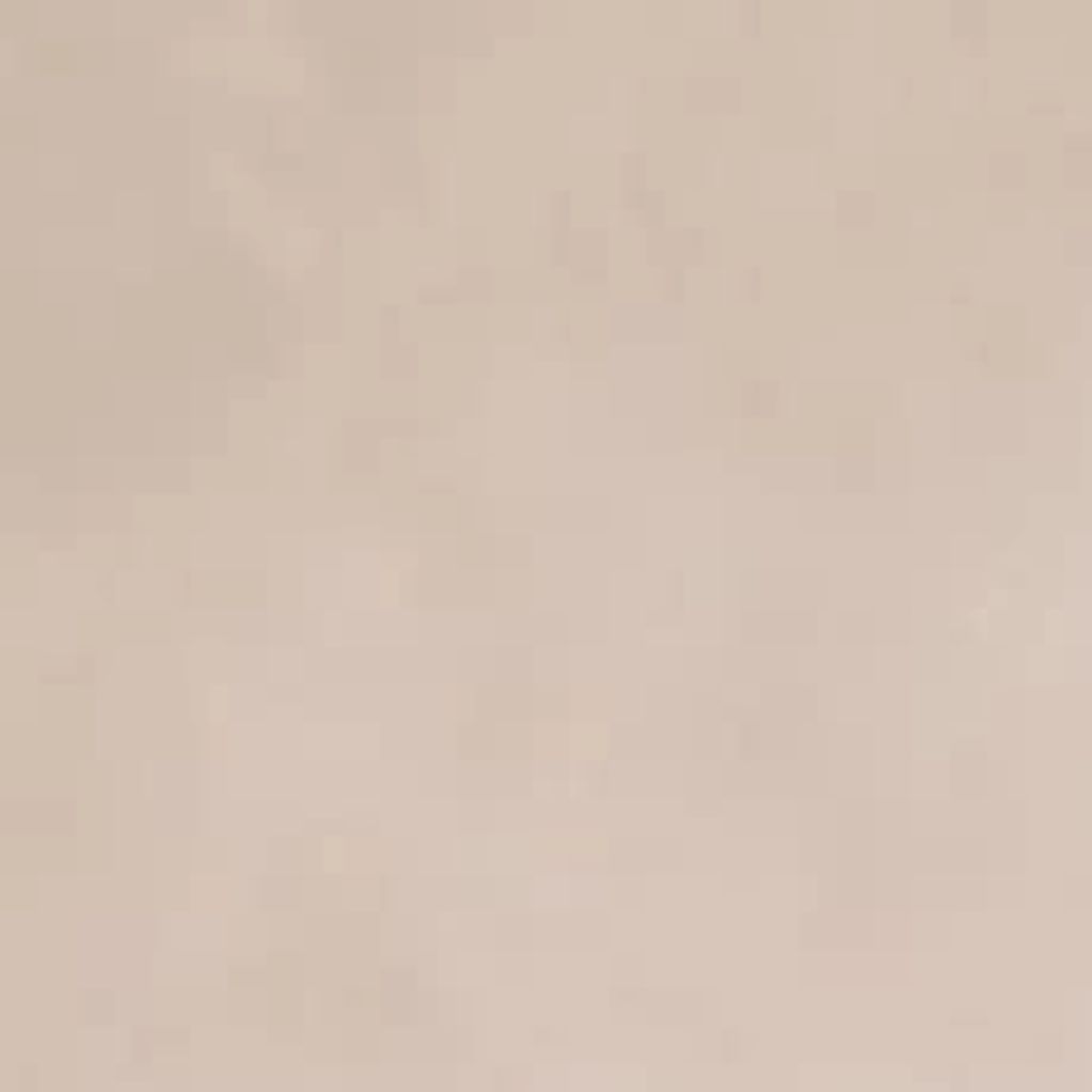 Fluffy brown and white Chihuahua walking forward on a neutral background.