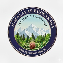 Himalayas Rudraksha