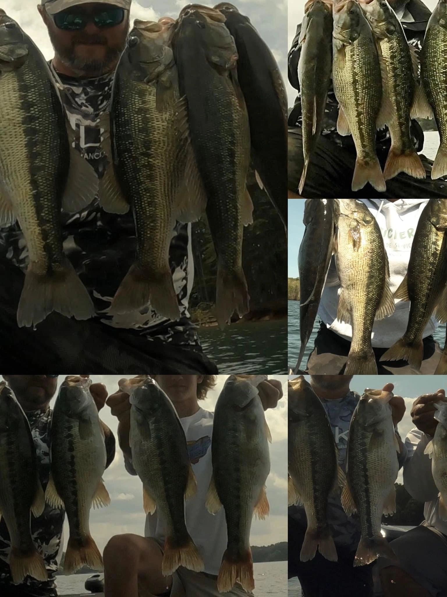 100+] Bass Fishing Pictures