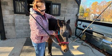 A woman grooming a black horse near a stable on a sunny day.