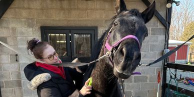 A woman grooming a black horse wearing a purple halter outside a stable.