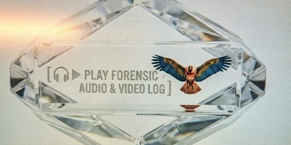 Crystal plaque with 'Play Forensic Audio &amp; Video Log' and colorful bird illustration.