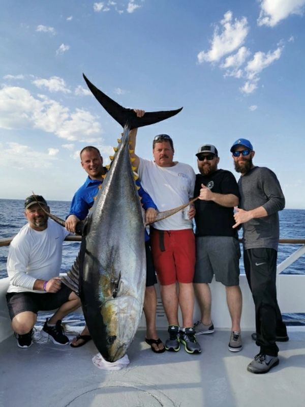 Yellowfin tuna