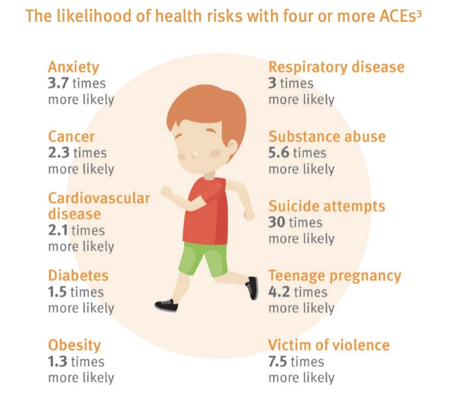  Hughes KP, Bellis MA, Hardcastle KA, Sethi D, Butchart A, Mikton C, et al. The effect of multiple adverse childhood experiences on health: A systematic review and meta-analysis. Lancet Public Health [Internet]. 2017 Aug [cited 2018 Dec 04]; 2(8): e356-e366. 