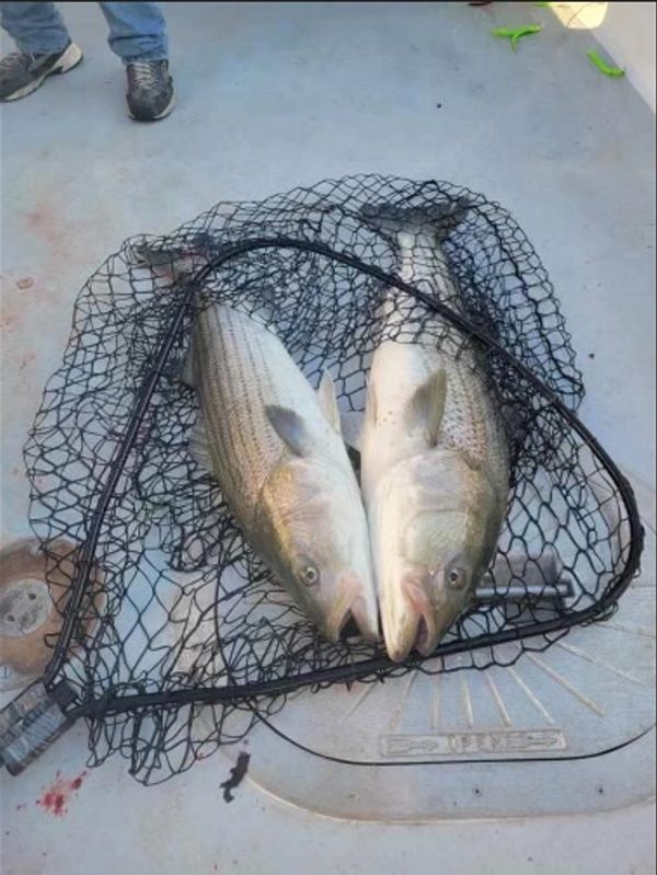 Fishing Charters, Inshore Fishing Charters, Fishing Charter Mtkfishing Montauk, New York