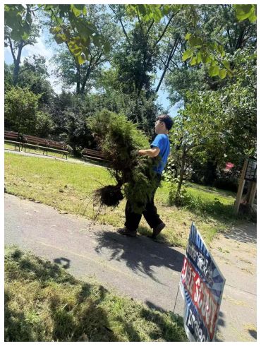 Young boy carrying a large bundle of grass or weeds in a park.