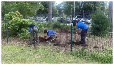 Three people gardening behind a metal fence.