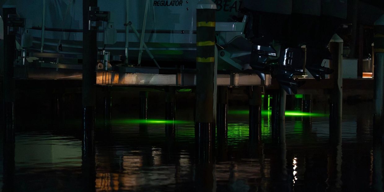 Snook and Tarpon fishing on the dock lights in Palm Beach