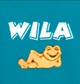 WILA: What I Learned About