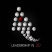 Leadership in 3d