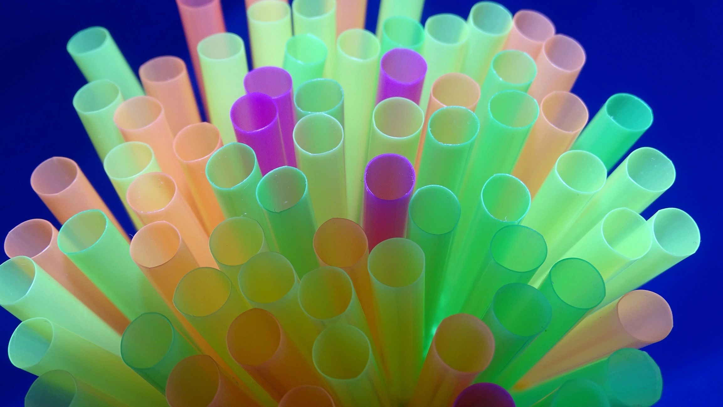 https://img1.wsimg.com/isteam/ip/55a80f0e-8020-426b-a738-06db9d0bcfdf/plastic%20straws.jpg