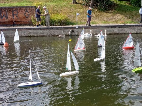 Model sailboats float on a pond with swans and people watching from the shore.