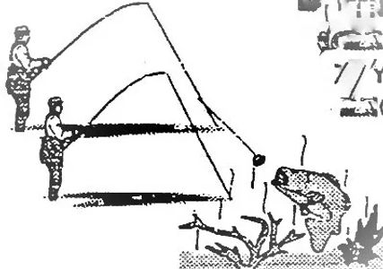 two friends on the water