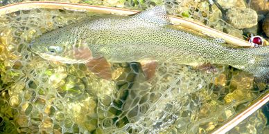 BOOK  A TRIP WITH FITTERROOT FLY