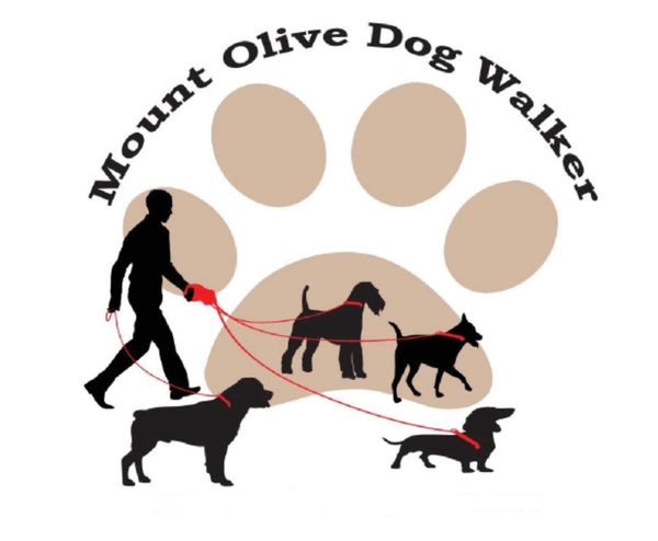 Mount Olive Dog Walker LLC
