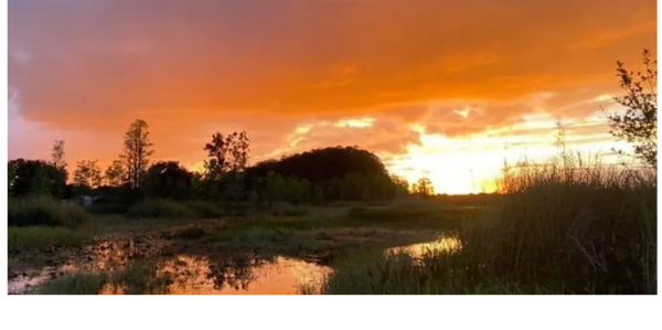 central florida airboat tours