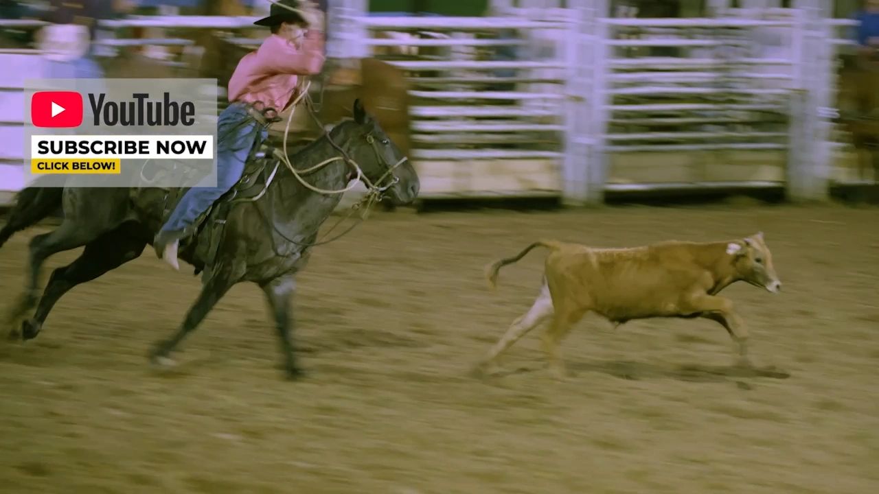 https://img1.wsimg.com/isteam/ip/55bd9fe7-b26e-4094-9d9f-33f4cb1d0e17/thumbnails/thumbnail-44f54089-62f2-4869-94f3-d131996ef4b0.png