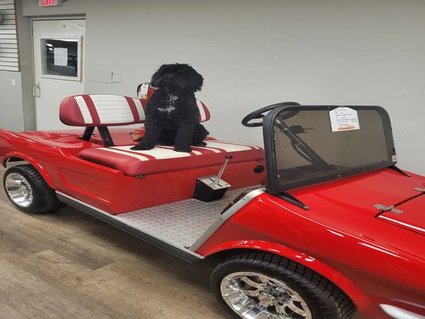 For sale: replica of a 1965 Mustang golf car