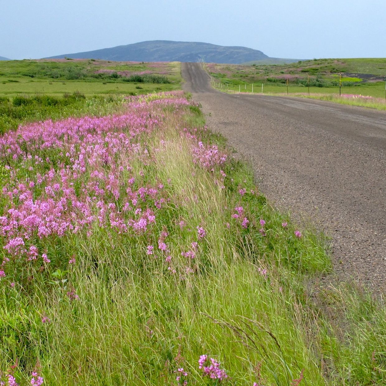 Dempster Tours