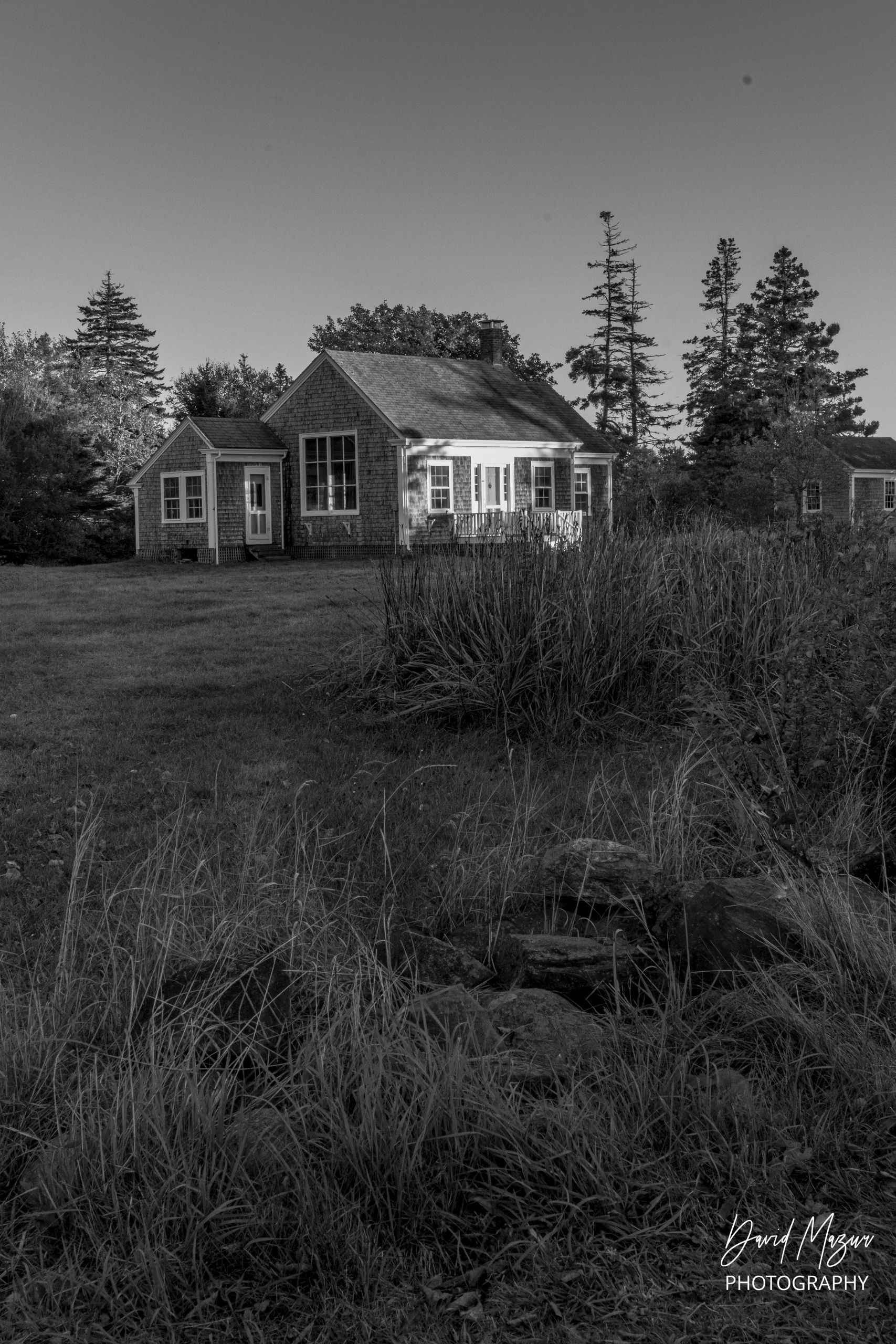 Black and white photo of a house surrounded by trees and grass.