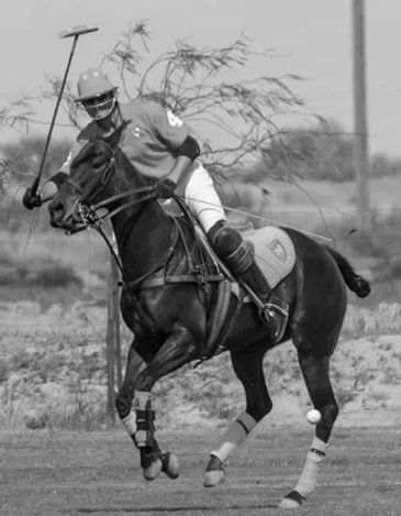 Polo player on horseback striking the ball mid-game.