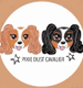 Pixie.Dust.Cavaliers