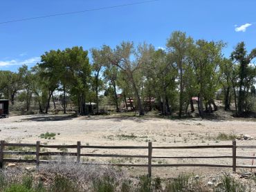 Rural landscape with trees and a fence under a clear blue sky.