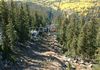 October colors from the sky ride at Arizona Snowbowl in Flagstaff.