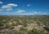 Your view looking out through Montezuma Well NM to the National Forest beyond.  Northeastern view.