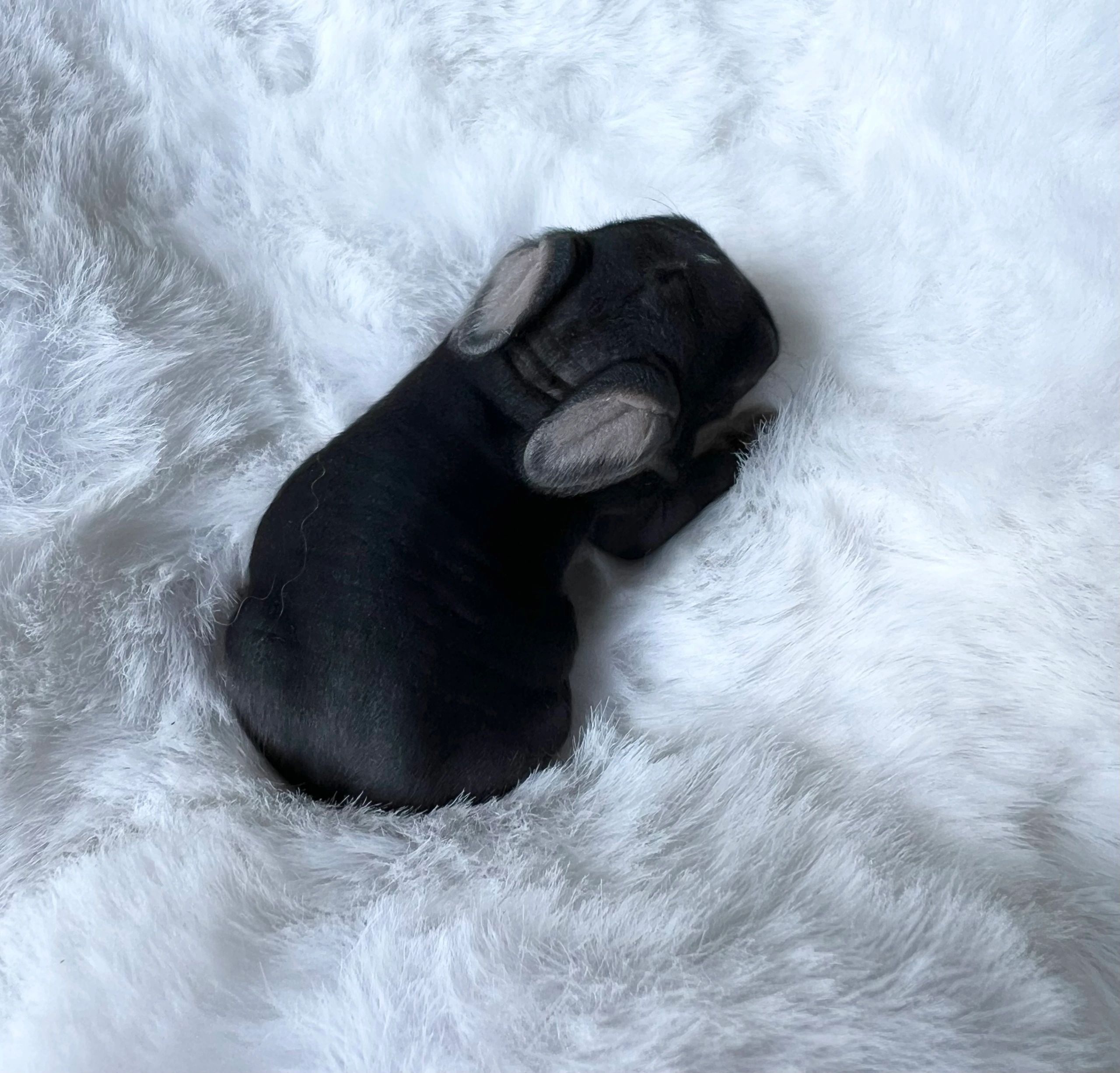 A newborn black puppy sleeping on a fluffy white blanket.