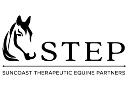 STEPSUNCOAST.ORG