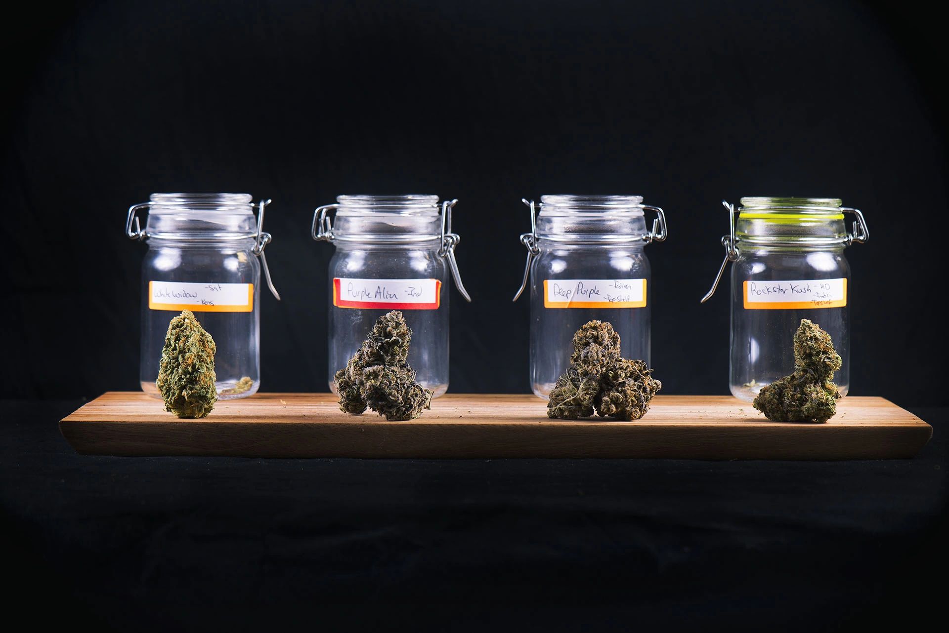Post Microbial Testing Cannabis Product Quality Management