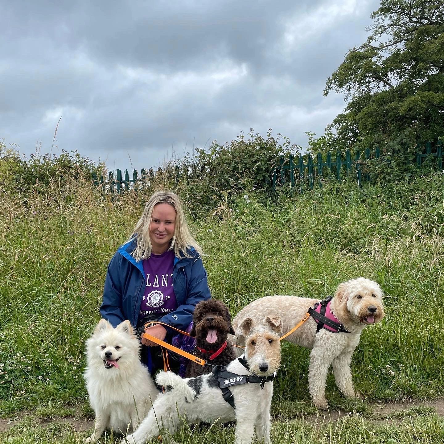 Paws For Walks Harrogate