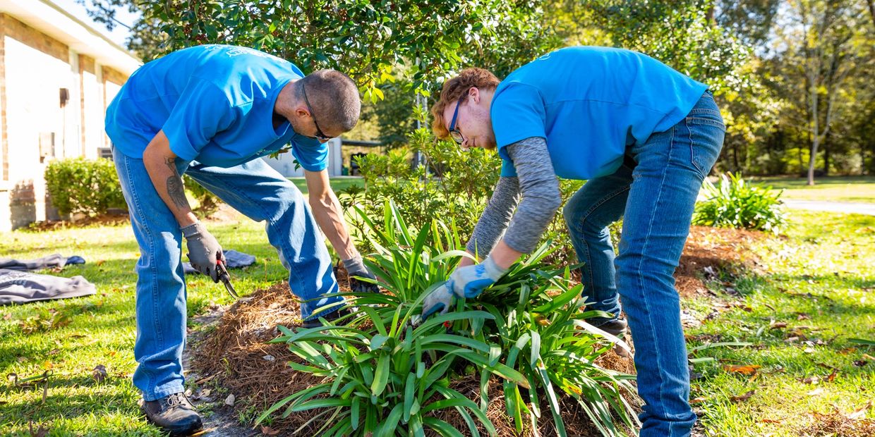 Flower Bed Maintenance Experts