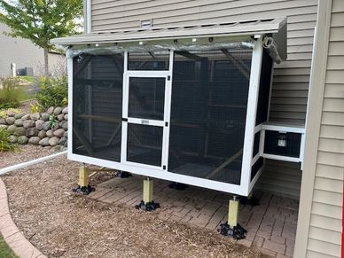 Raised outdoor chicken coop with mesh siding.