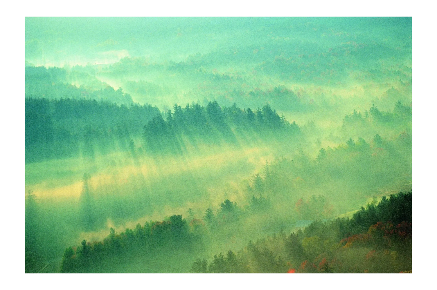 Sun rays filtering through mist over a dense forest landscape.