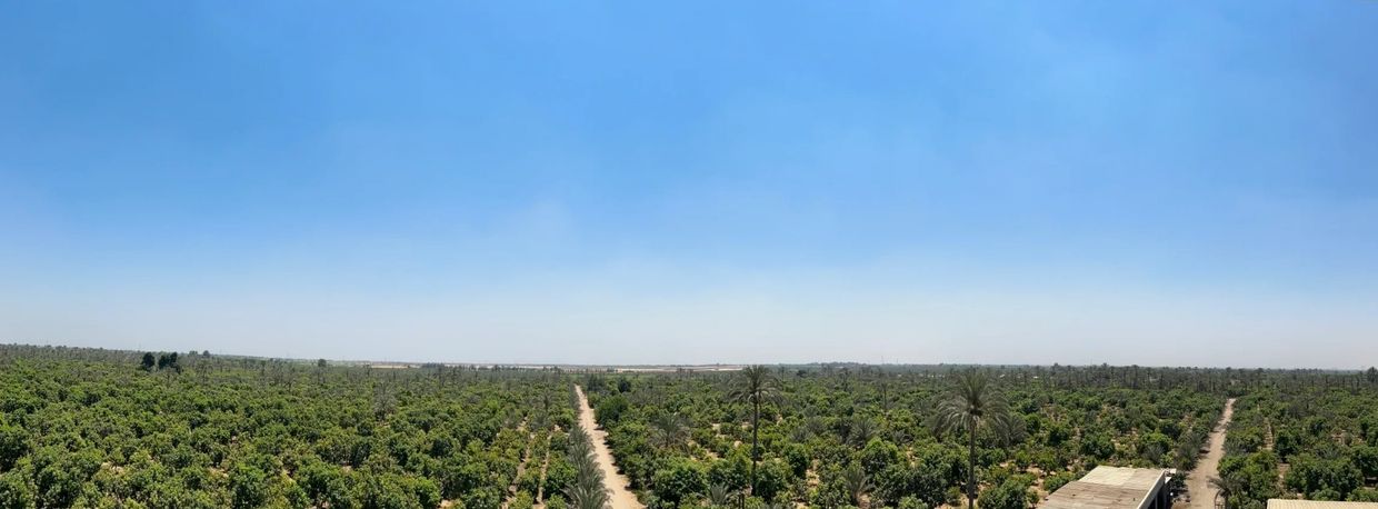 panoramic view of the farm