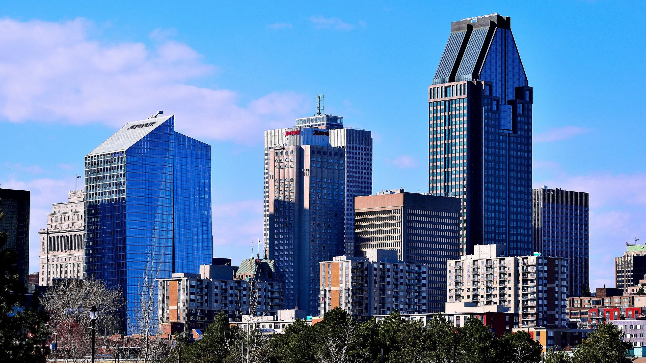 Modern city skyline with tall buildings under a clear blue sky.