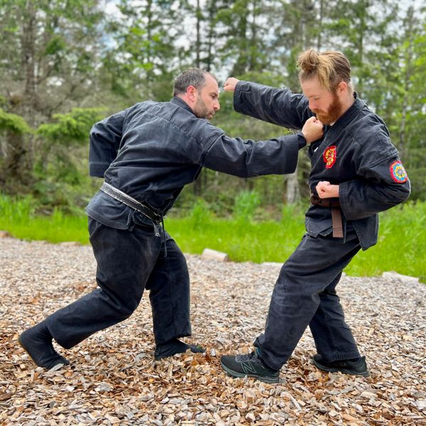 koryu karate, martial arts