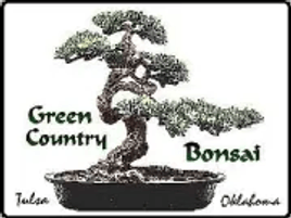 For Oklahoma grower, creating bonsai trees no small task