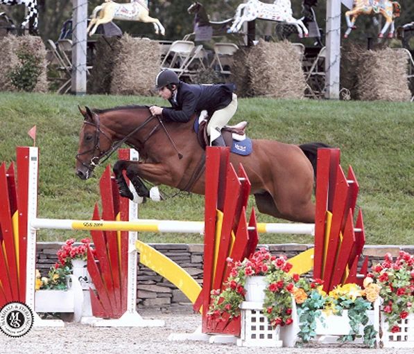 Farrington Farms - Riding Academy, Horseback Riding