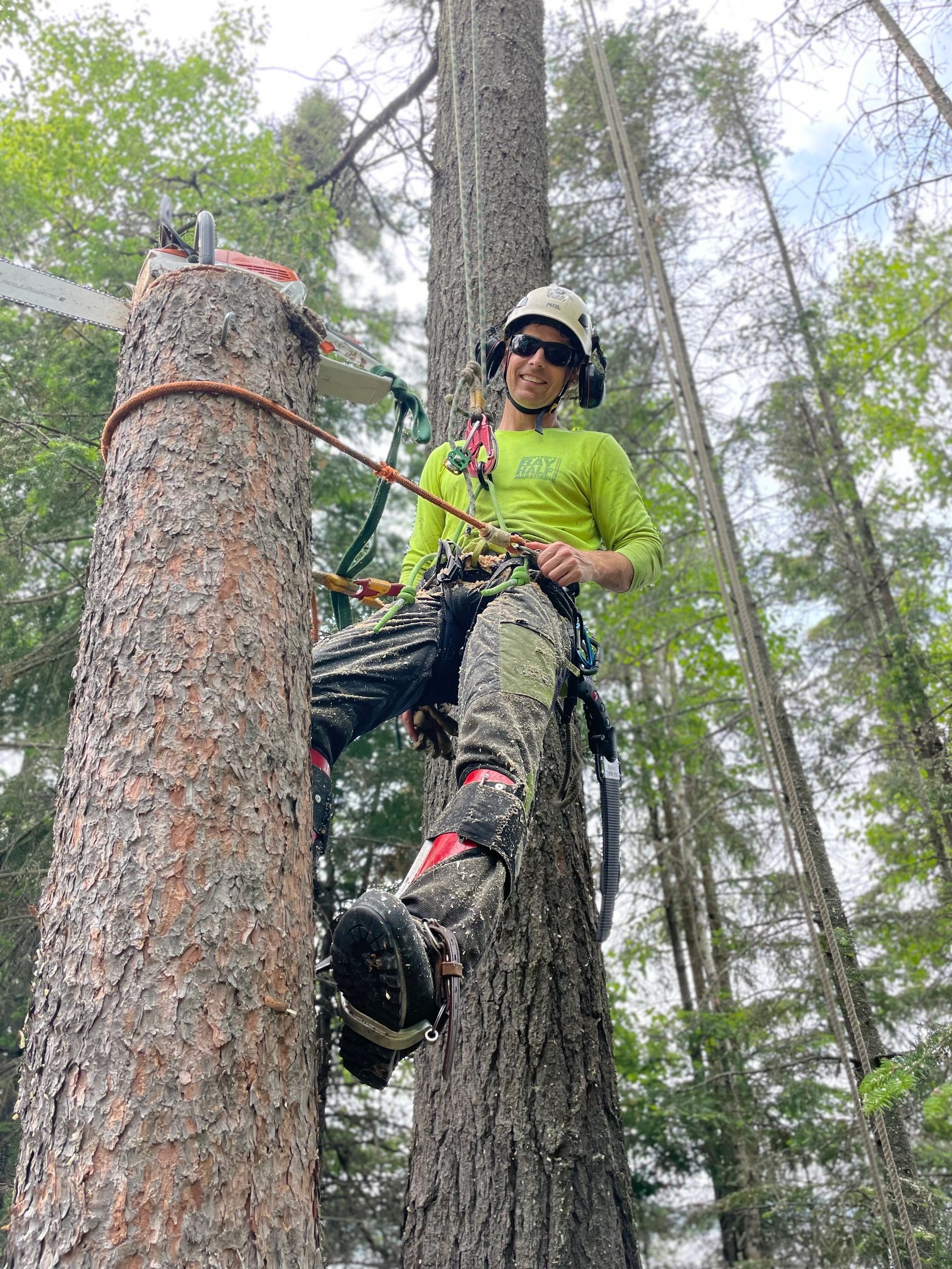 First Ascent Tree Service - Tree Service, Arborist, Tree Removal