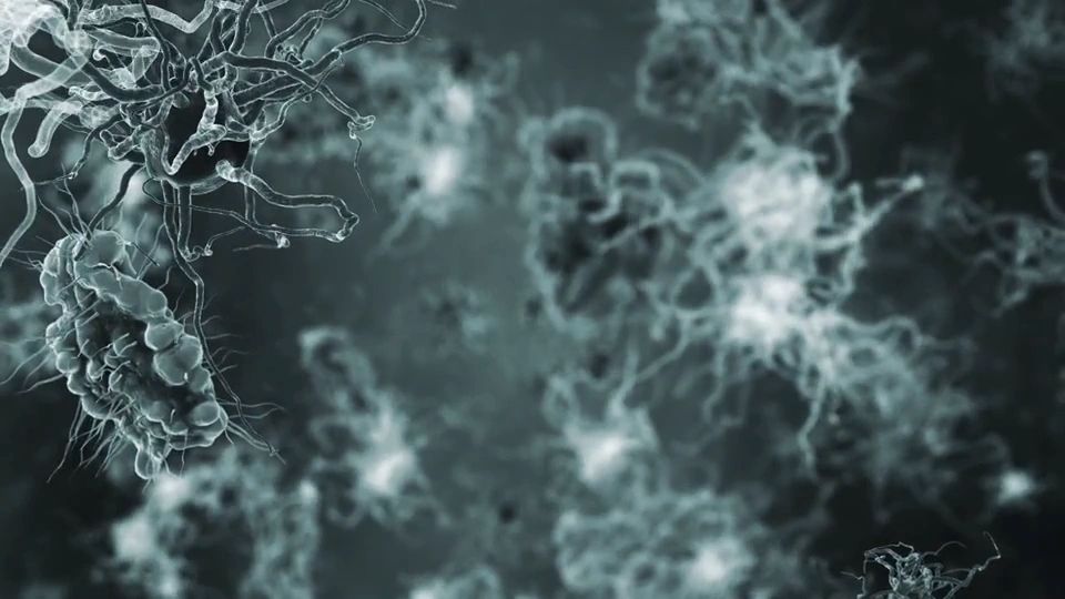 https://img1.wsimg.com/isteam/ip/560b5e4a-e728-45cf-a777-559ebf9c41c5/thumbnails/thumbnail-03944356-518b-4a17-8d4b-dc409b4a2a91.png
